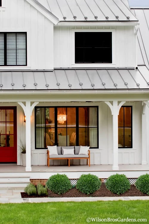 Korean Dwarf Boxwood - Buxus Sinica Var. Insularis 'Nana' - 1 Gallon Pot 6 Korean Dwarf Boxwood - Buxus Sinica Var. Insularis 'Nana' - 1 Gallon Pot - Image 4