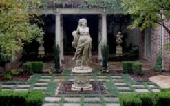 Dwarf Mondo Grass - 32 Pack Of 2.5" Pots -Wilson Bros Gardens Picture Mondo Grass Dwarf Pavers 2