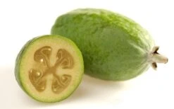 Pineapple Guava -Feijoa Sellowiana - 7 Gallon Pot -Wilson Bros Gardens Pineapple Guava Fruit