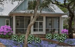 Snow Globe Gardenia - 1 Gallon Pot -Wilson Bros Gardens gardenia jasminoides snow globe 2 1