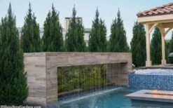 Spartan Juniper - 1 Gallon Pot -Wilson Bros Gardens juniperus chinensis spartan columnar juniper 40